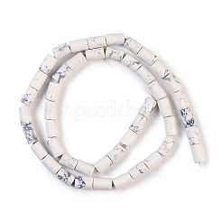 Natural Howlite Beads Strands&nbsp;G-C128-A37-01