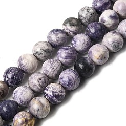 Natural Purple Stripe Jasper Beads Strands&nbsp;G-K350-C03-10mm