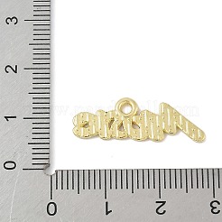Alloy Enamel Pandants&nbsp;FIND-M083-04B-G