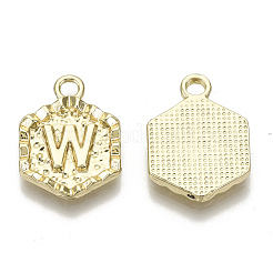 Alloy Pendants&nbsp;PALLOY-N157-003W-NR