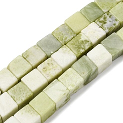 Natural Jade Beads Strands&nbsp;G-B155-C06-8x8mm
