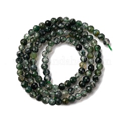 Natural Moss Agate Beads Strands&nbsp;G-A129-4mm-01