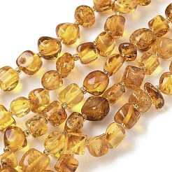 Natural Amber Beads Strands&nbsp;G-L095-E01-07