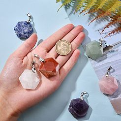 6Pcs 6 Style Natural Mixed Gemstone Pendants&nbsp;G-SZ0001-36