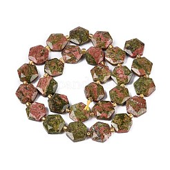 Natural Unakite Beads Strands&nbsp;G-N368-01A-08