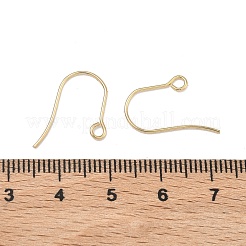 304 Stainless Steel Earring Hooks&nbsp;STAS-F142-01G
