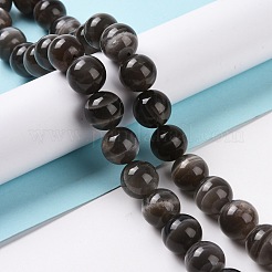 Natural Black Moonstone Beads Strands&nbsp;G-J157-12mm-05