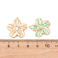 304 Stainless Steel Pendants&nbsp;STAS-D129-04G