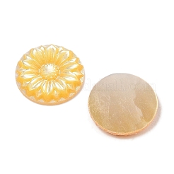 Natural Yellow Shell Carved Cabochons&nbsp;SSHEL-I026-17B