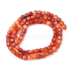 Natural Banded Agate/Striped Agate Beads Strands&nbsp;G-G005-B02-01A
