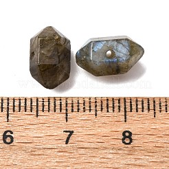 Natural Labradorite Beads&nbsp;G-M452-01G