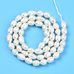 Natural Cultured Freshwater Pearl Beads Strands&nbsp;PEAR-N012-04V