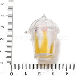 Acrylic Pendants&nbsp;AC-CBA5EF9-01E