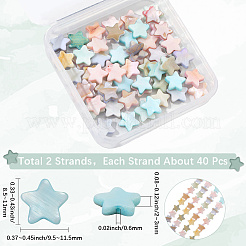 2 Strands Macaron Color Natural Shell Beads Strands&nbsp;SHEL-SC0001-88A