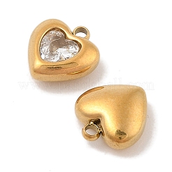 Ion Plating(IP) 304 Stainless Steel Micro Pave Cubic Zirconia Pendants&nbsp;STAS-S131-17G-04