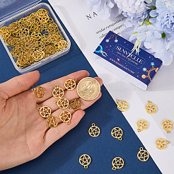 80Pcs Zinc Alloy Pendants&nbsp;FIND-SC0008-61