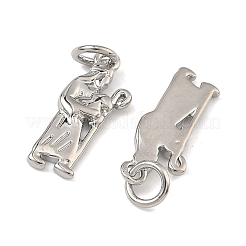 Brass Pendants&nbsp;KK-B170-21P
