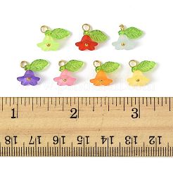 50Pcs Transparent Acrylic Pendants&nbsp;PALLOY-FS00043-06