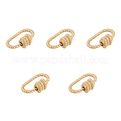 Brass Screw Carabiner Lock Charms&nbsp;ZIRC-E164-09G