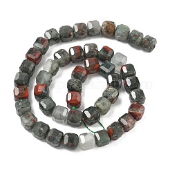 Natural African Bloodstone Beads Strands&nbsp;G-C267-A15