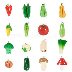 32Pcs 16 Styles Resin Pendants&nbsp;RESI-TA0004-90