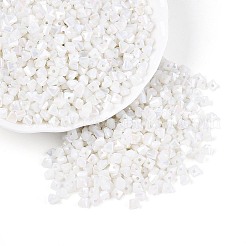 Baking Paint Glass Seed Beads&nbsp;SEED-N007-30L