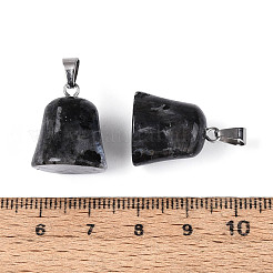 Natural Labradorite Pendants&nbsp;G-N349-15P-02