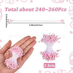 1 Bag Eco-Friendly Matte Gypsum Flower Core&nbsp;FIND-DJ0001-48B