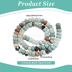 2 Strands Natural Flower Amazonite Beads Strands&nbsp;G-PA0001-86