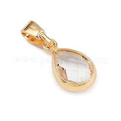 Glass Charms&nbsp;PALLOY-JF04360