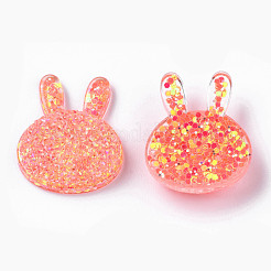Transparent Resin Cabochons&nbsp;CRES-N034-17C