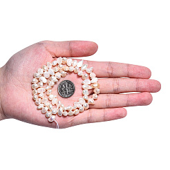 Natural Cultured Freshwater Pearl Beads Strands&nbsp;PEAR-N014-05