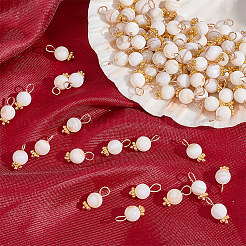 100Pcs Natural Freshwater Shell Charms&nbsp;FIND-AR0003-25