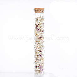 Mini High Borosilicate Glass Bottle Bead Containers&nbsp;LS-BOTT-PW0001-262I