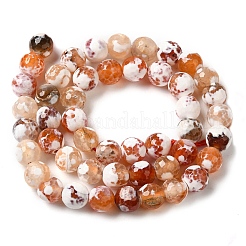Dyed & Heated Natural Fire Crackle Agate Beads Strands&nbsp;G-P539-B01-12
