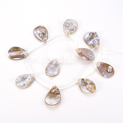 Shell Pearl Pendants&nbsp;SSHEL-N032-38