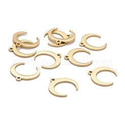 201 Stainless Steel Charms&nbsp;X-STAS-K211-03G