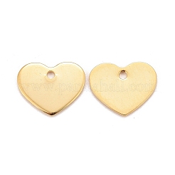 201 Stainless Steel Charms&nbsp;LS-X-STAS-K217-76G