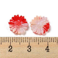 Luminous Transparent Resin Decoden Cabochons&nbsp;RESI-D013-06C