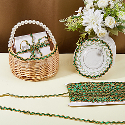 Polyester Ribbon&nbsp;OCOR-WH0111-139B