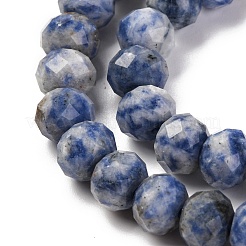 Natural Blue Spot Jasper Beads Strands&nbsp;G-K380-A02-01