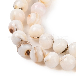 Natural Freshwater Shell Beads Strands&nbsp;SHEL-T011-02-8mm