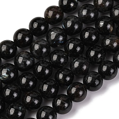 Natural Astrophyllite Beads Strands&nbsp;G-A202-01B