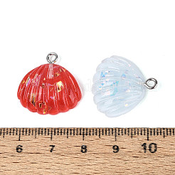 Transparent Resin Pendants&nbsp;RESI-N050-21P