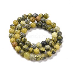 Natural Yellow Turquoise(Jasper) Beads Strands&nbsp;GSR10mmC007