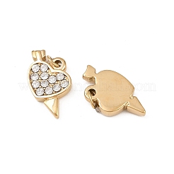 304 Stainless Steel with Clear Cubic Zirconia Charms&nbsp;STAS-G364-03G