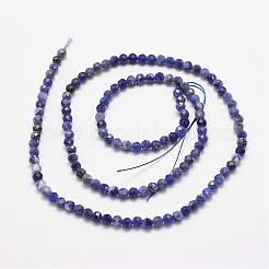Natural Sodalite Bead Strands&nbsp;G-P279-58-3mm