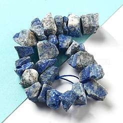 Raw Rough Natural Lapis Lazuli Beads Strands&nbsp;G-P528-A14-01