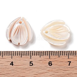 Natural Freshwater Shell Pendants&nbsp;SHEL-D082-04A
