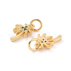 Rack Plating Brass Micro Pave Cubic Zirconia Charms&nbsp;ZIRC-C035-07G